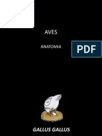 AVES M3a