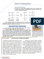 Saboes e Detergentes