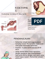 Kehamilan Ektopik Terganggu