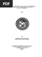 Download Luthfiana Aprilianita Sari by Dwitha Nirmala Sari SN238241487 doc pdf