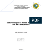 Determinação da perda de carga em uma serpentina