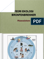 Ip Mesosistem 1