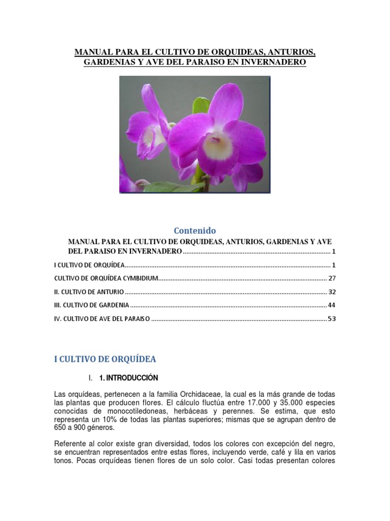 Conciencia del cáncer testicular Svg Png, uso orquídea para mi tío Svg,  cinta de orquídeas Svg, orquiectomía inguinal radical Cricut Sublimación, image size:768x1024