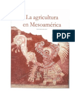 E.M.M. La Agricultura en Mesoamérica