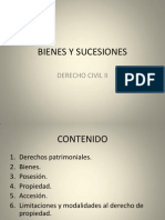 Bienes y Sucesiones II-1