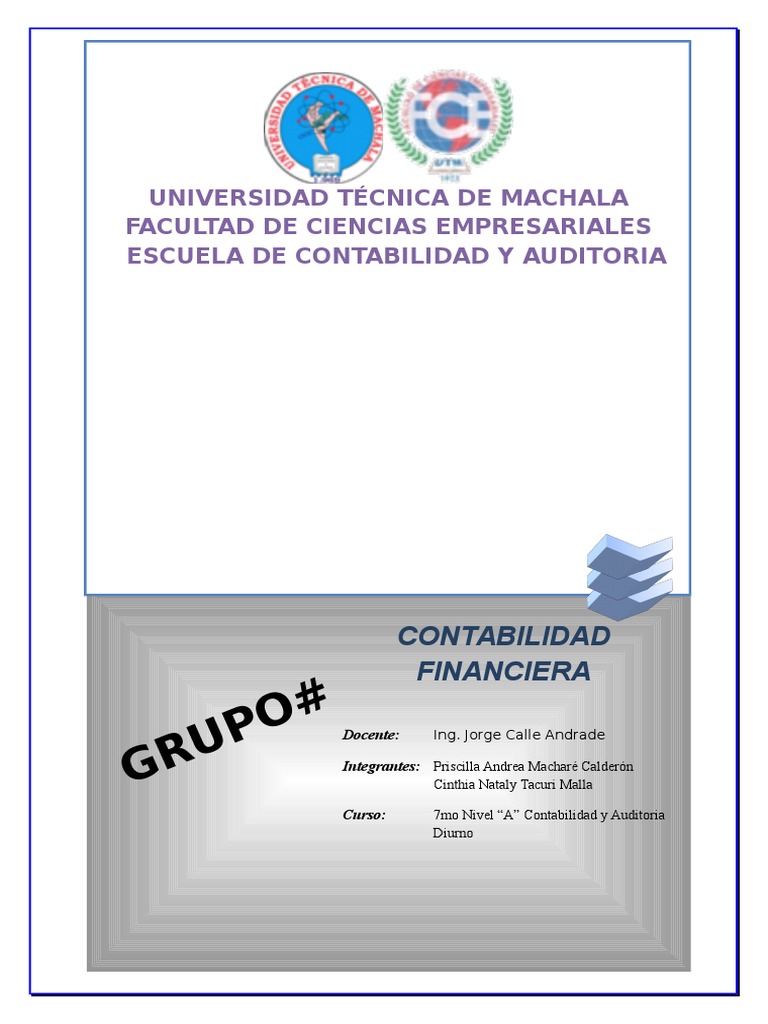 Informe de Control Interno Contable | PDF | Contabilidad | Business