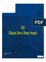 DSI_SS.pdf