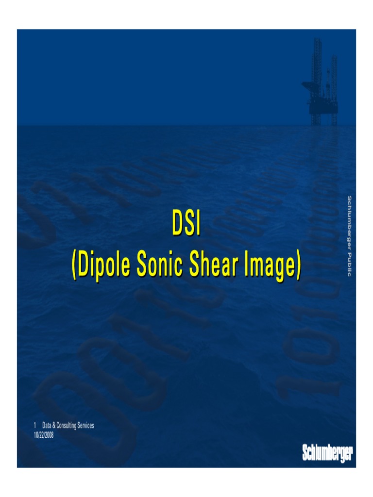 Dsi SS PDF | PDF