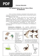 Adaptacion de Los Seres Vivos