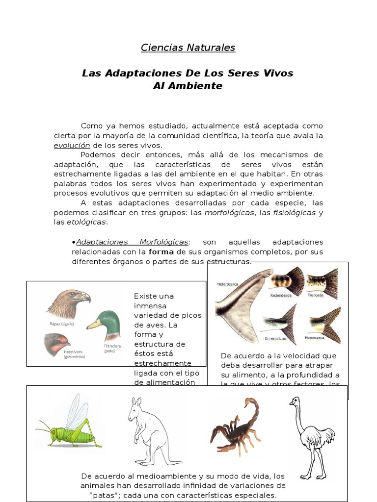 Adaptacion de Los Seres Vivos | PDF | Adaptación | Organismos