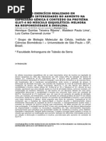 Efeitos Do Exercício Realizado Em Diferentes Intensidades No Aumento Na Expressão Gênica e Conteúdo Da Proteína Glut