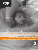 Atencao Recem Nascido Guia Profissionais Saude v3