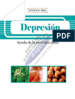 PDF Depresion