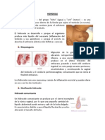 Hidrocele Word