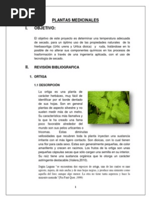 Ruda Y Ortiga Digestion Plantas