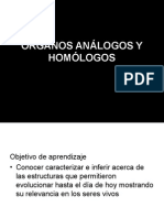 Organos Analogos y Homologos