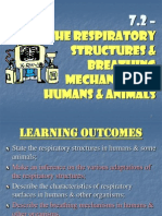 7.2 Respiratory System
