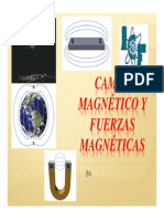 Campo Magnetico