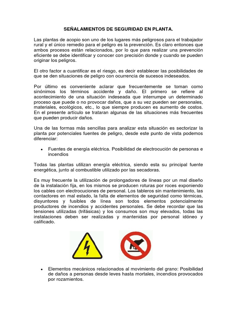 Seguridad en Plantas de Acopio: Riesgos y Prevención | PDF ...