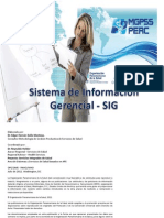 Sistema de Informacion Gerencial2