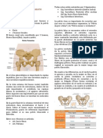 Clase 01 - Anatomia