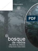 BOOK-bosque de Niebla