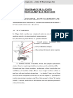 Enfermedades de La Union Neuromuscular y Los Musculos Miopatias