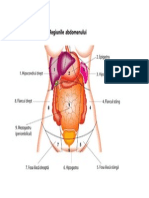 De Printat Regiunile Abdomenului