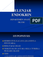 Organ Endokrin