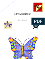 Lilly Minibeast