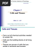 Cells and Tissues