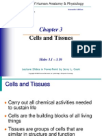 Cells and Tissues