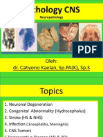 PA 2-1 Neuropatologi 2013