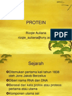 Ilmu Gizi Protein