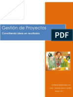 Gestion de Proyectos_feb2011