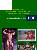 Kinesiologi Upper Limb &lower Limb