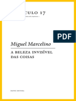 Opusculo 17-A Beleza Invisível Das Coisas, Marcelino, Miguel, Dafne Editora, Porto, 2009 PDF