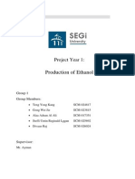 Project Year 1: Optimal Production of 30,000 Tonnes Ethanol