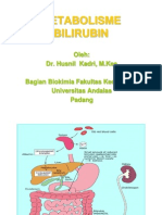 Metabolisme Bilirubin