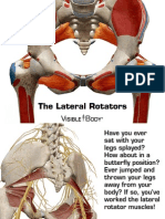 Lateral Rotators 030714