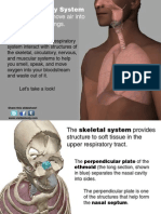 Atlas RespiratorySystem071513 1