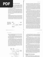 Fundamentos de Ecologia - O Ecossitema