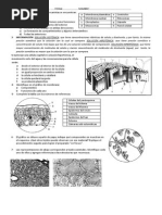 BIO-ESCRITO-2-A-B-C-2014 (1)