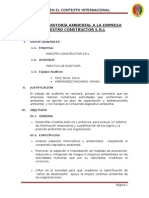 Plan de Auditoria Ambiental A Una Empresa