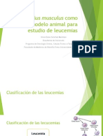 2014 Mus Musculus Como Modelo Animal para Estudio de Leucemias - FACEN Biotecnología PDF