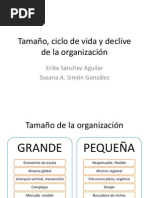 Tamaño, Ciclo de Vida y Declive de La Organización