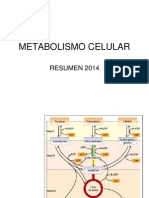 Metabolismo Celular 2014