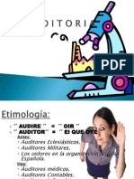 auditoria informatica