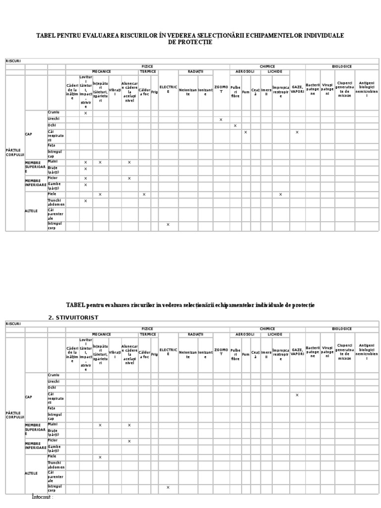 Tabel Evaluare Riscuri PT Acordare Eip | PDF