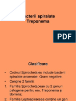 Curs VII Spec.treponema